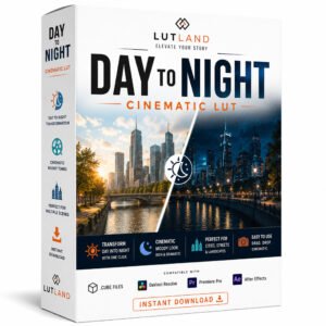 Day to Night LUT
